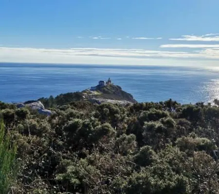 Naroa Galitrips